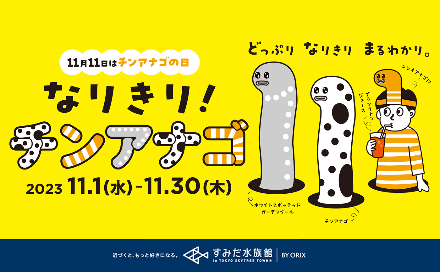 11月11日はチンアナゴの日！3種のチンアナゴたちになりきって記念日をお祝いするすみだ水族館のイベントを企画提案